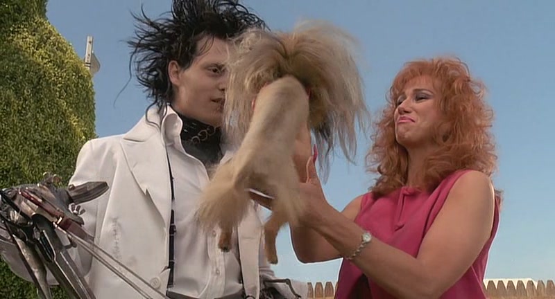 开云体育-关于蒂姆连续二十场比赛得分超过刷新纪录，加拿大队不断突破！赢得满堂喝彩的信息-开云体育